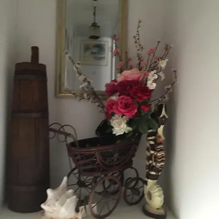 Holiday Listeši 特罗吉尔