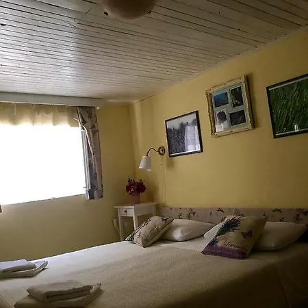 Holiday Listeši * 特罗吉尔